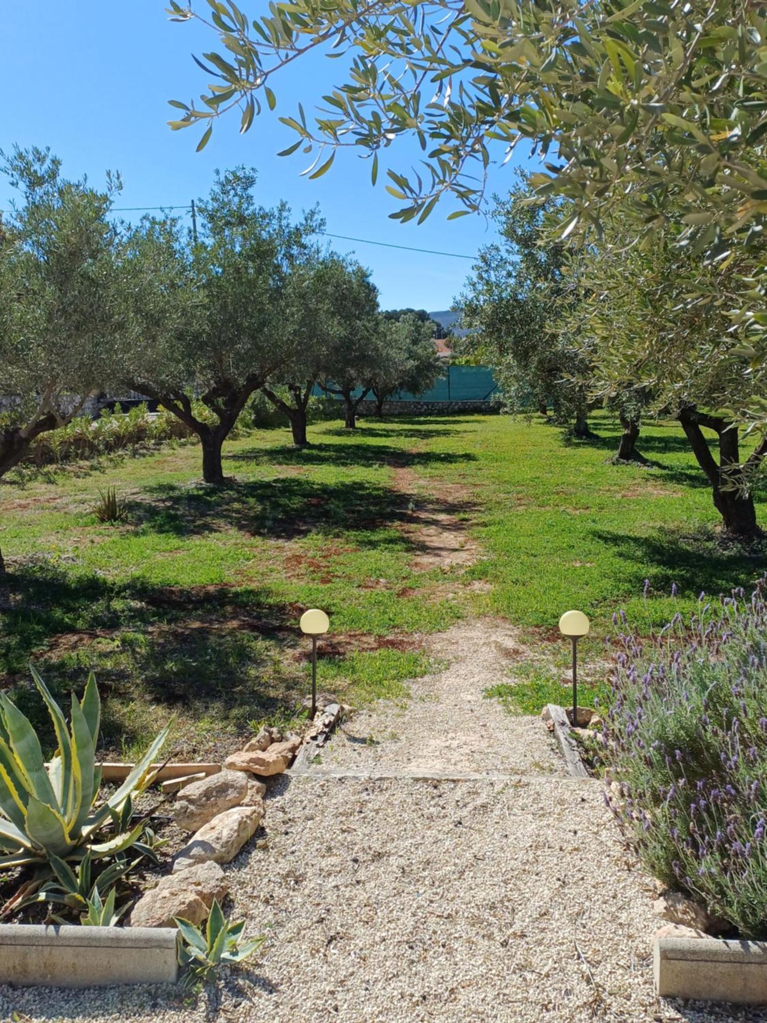 אונטיניינט B&B Casa Vitalidad מראה חיצוני תמונה