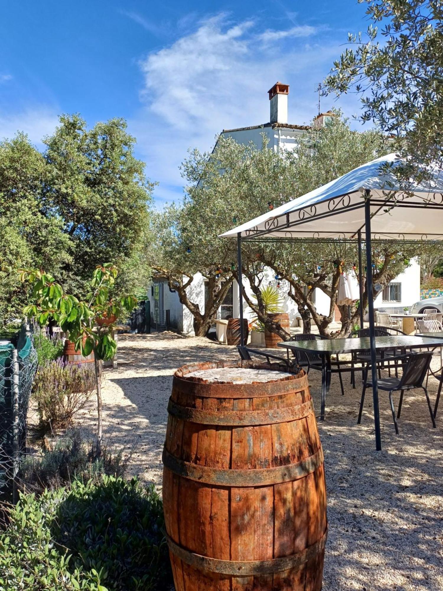 אונטיניינט B&B Casa Vitalidad מראה חיצוני תמונה