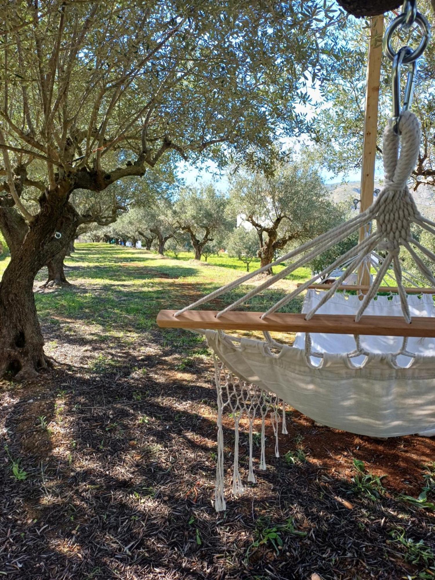אונטיניינט B&B Casa Vitalidad מראה חיצוני תמונה