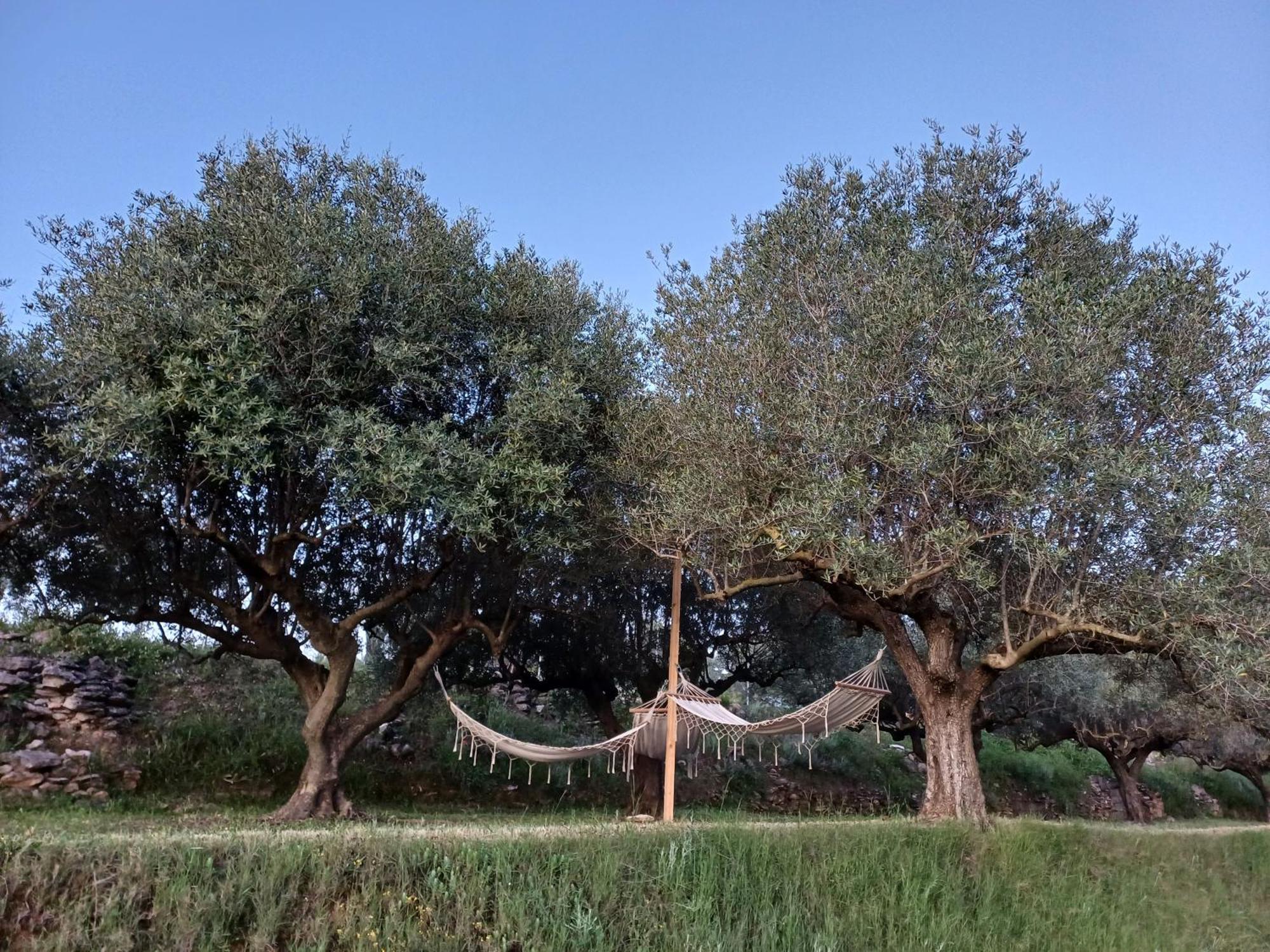 אונטיניינט B&B Casa Vitalidad מראה חיצוני תמונה